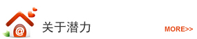 关于潜力